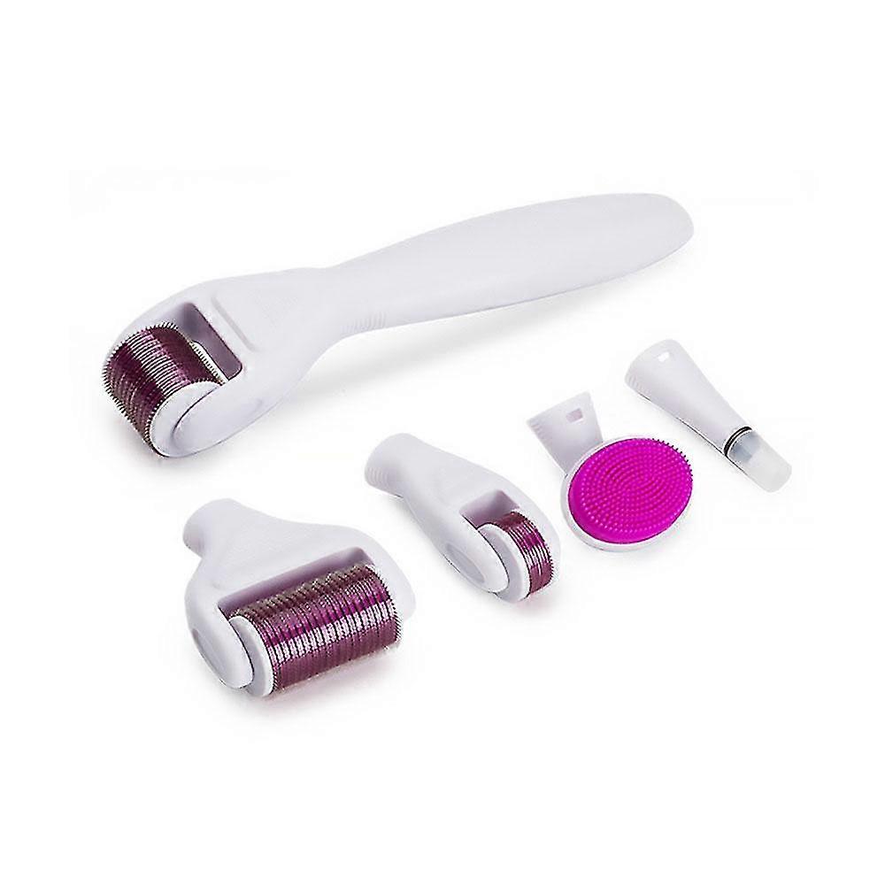 6 in 1 Derma Roller Microneedle Kits For Multiple Skin Care Rejuvenation Treatment Needles Microdermabrasion Roller